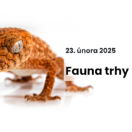 Fauna trhy - Výstaviště Černá louka